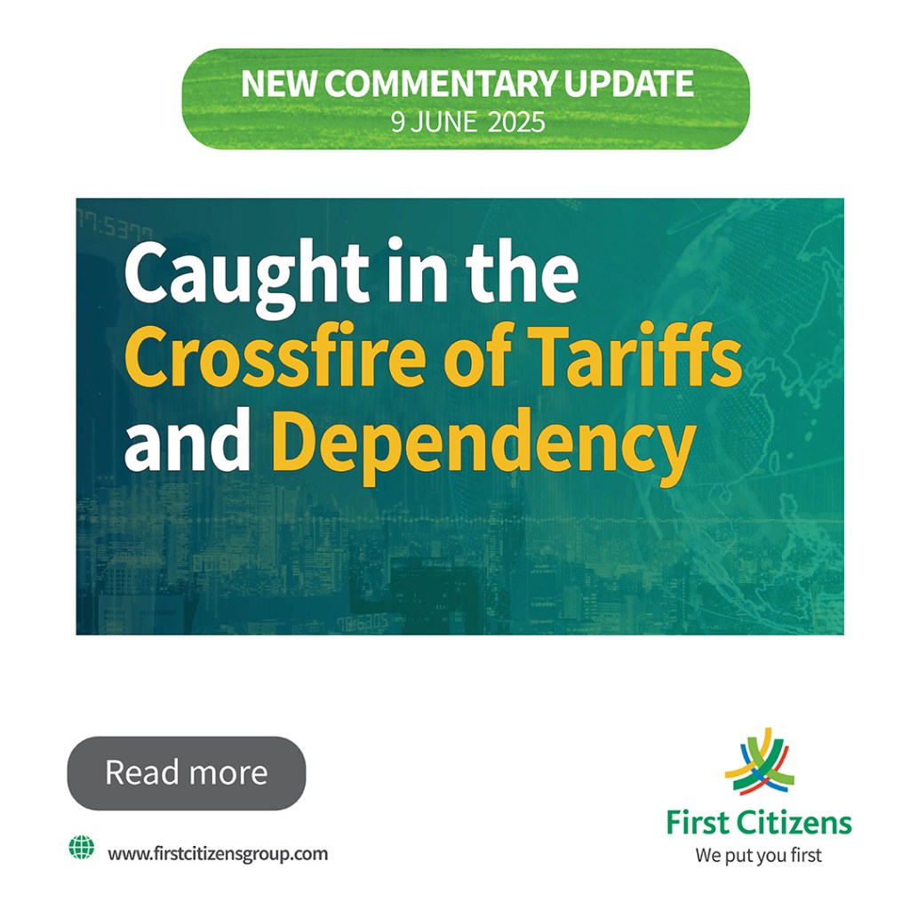 Caught in the Crossfire of Tariffs and Dependency