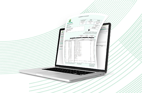 Credit Card eStatement