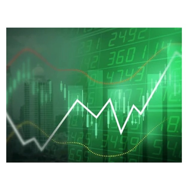 Stock Market