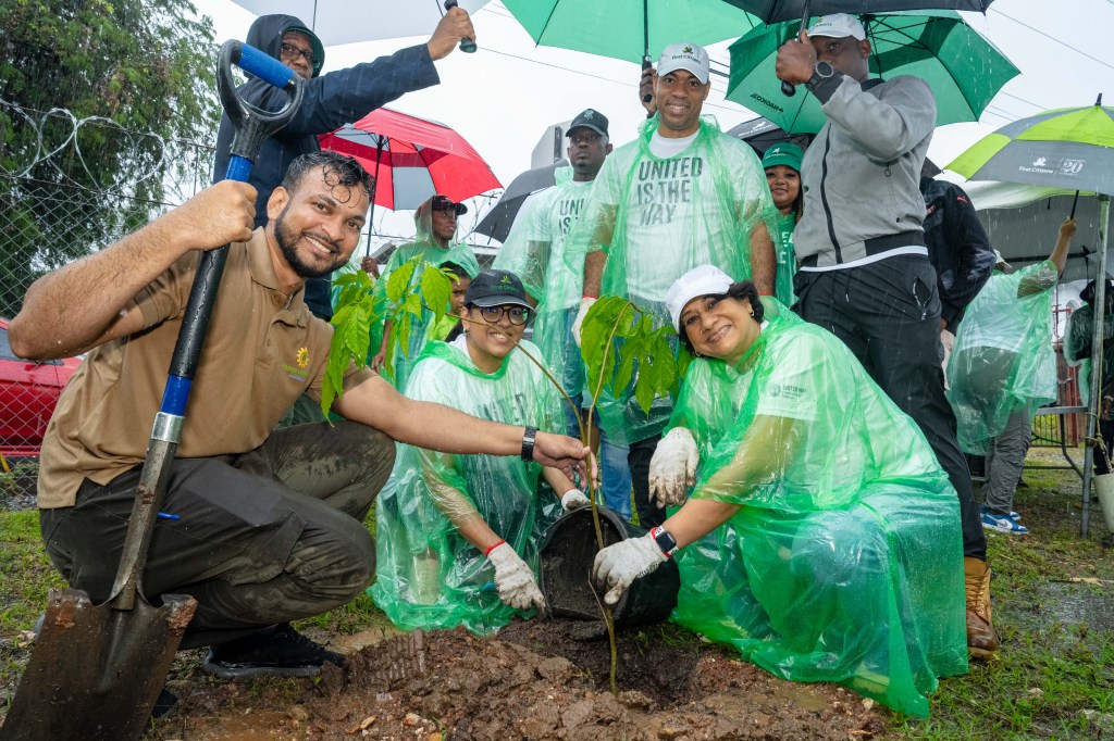 Kevan Kalapnath-Maharaj, Managing Director – IAMovement planting a poui tree at the St Augustine nursery with First Citizens Group executives Neela Moonilal-Kissoon, Deputy CEO – Operations & Administration, Jason Julien, Deputy CEO – Business Generation, Karen Darbasie, Group CEO