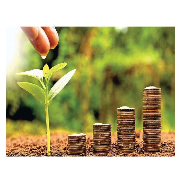 Mutual Fund