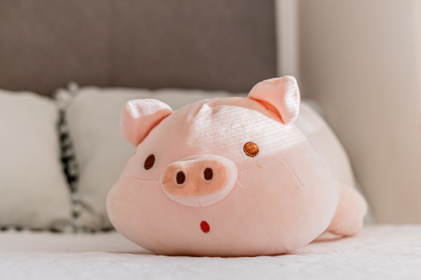 financial education hub savings and chequings